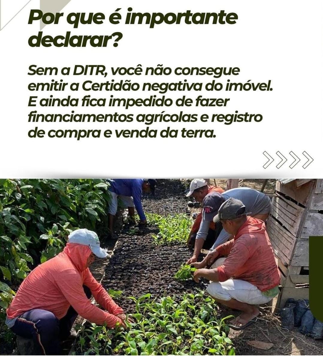 Imagem da promoção